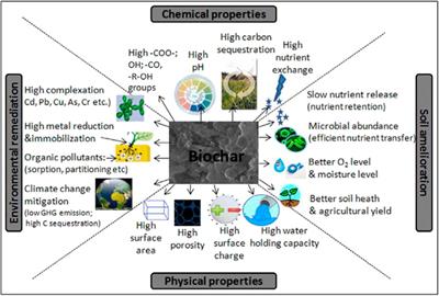 Biochar as a tool for the improvement of soil and environment